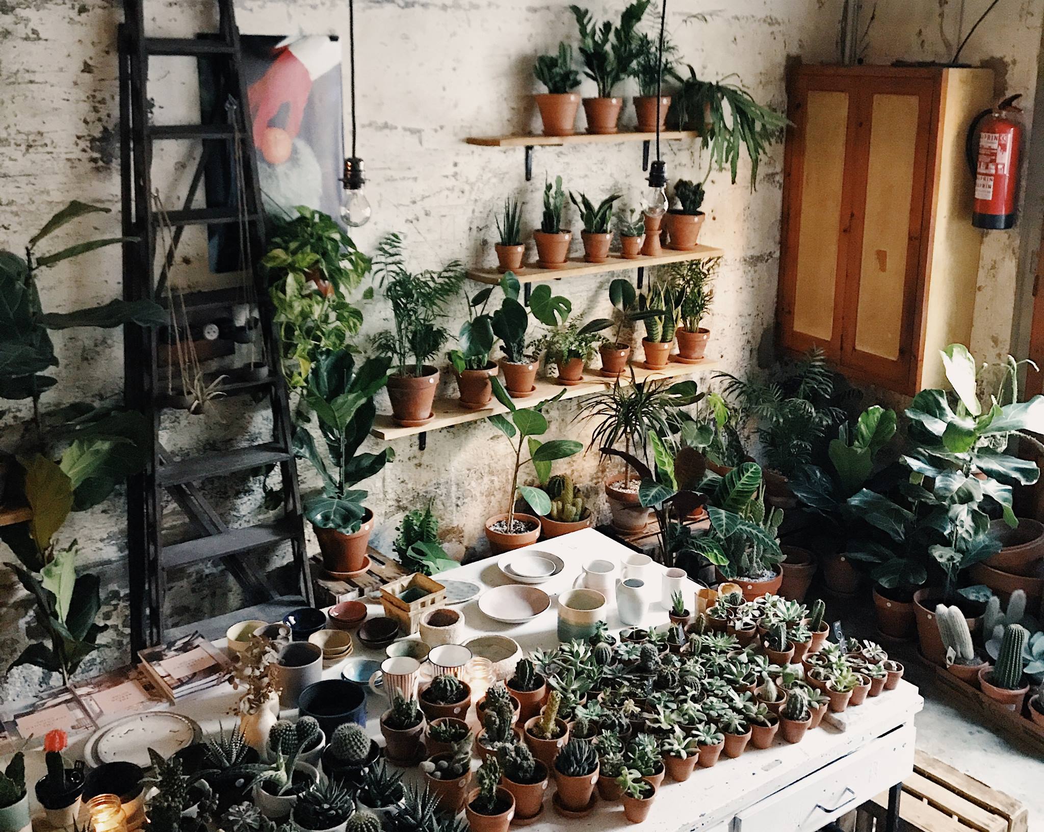 Visit Espai Joliu in Barcelona | Live the World