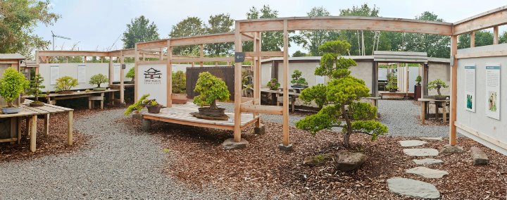 Visit Bonsai-Museum Dsseldorf e.V. in Dsseldorf | Live the World