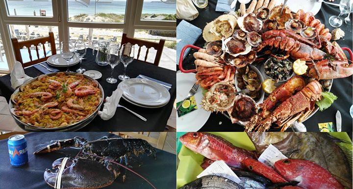 Marisco fresco del día en Fisterra